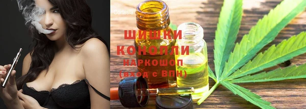 дмт Иннополис