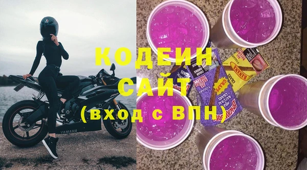 СК Инта