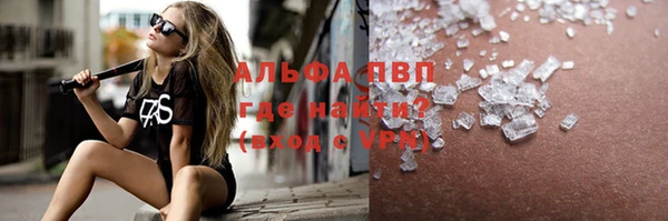 СК Инта