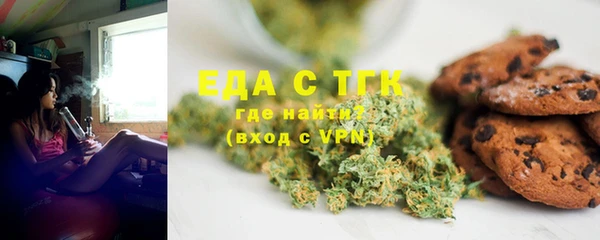 СК Инта