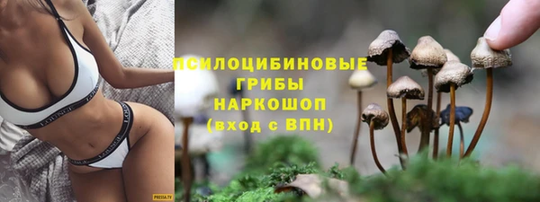 винт Каменногорск
