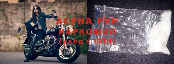 СК Инта