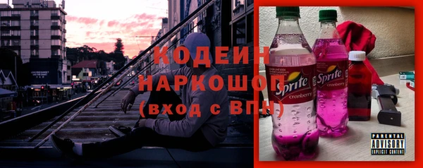 СК Инта