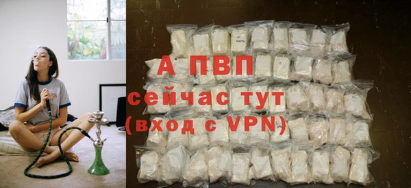 СК Инта