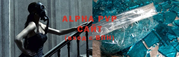 СК Инта