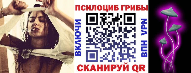 Псилоцибиновые грибы мухоморы  Купить закладки  Еманжелинск 